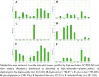 Metabolites 02 01031 g013 200
