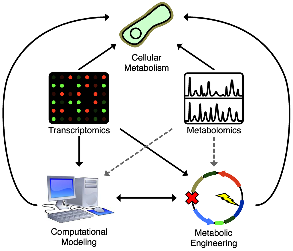 Metabolites 02 01090 g002 1024