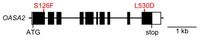 Metabolites 02 01123 g001 200