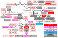 Metabolites 02 01123 g004 200