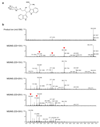 Metabolites 02 01123 g006 200