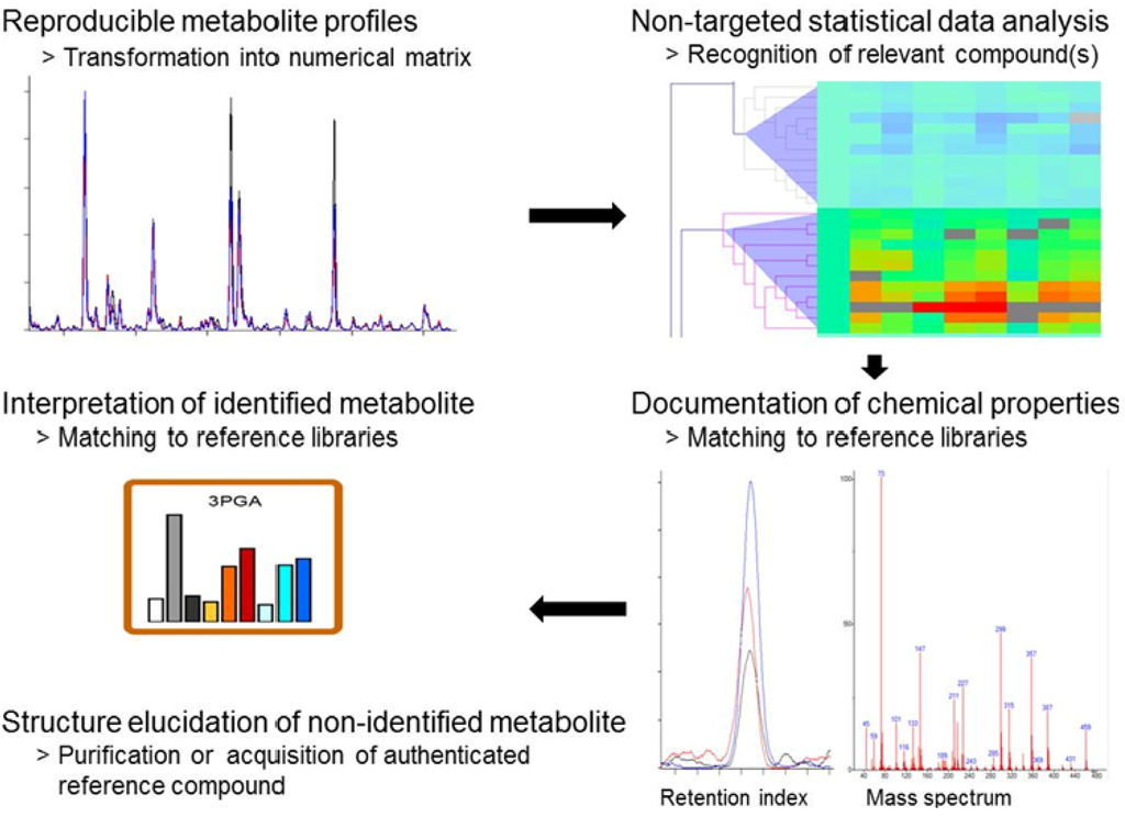 Metabolites 03 00072 g002 1024