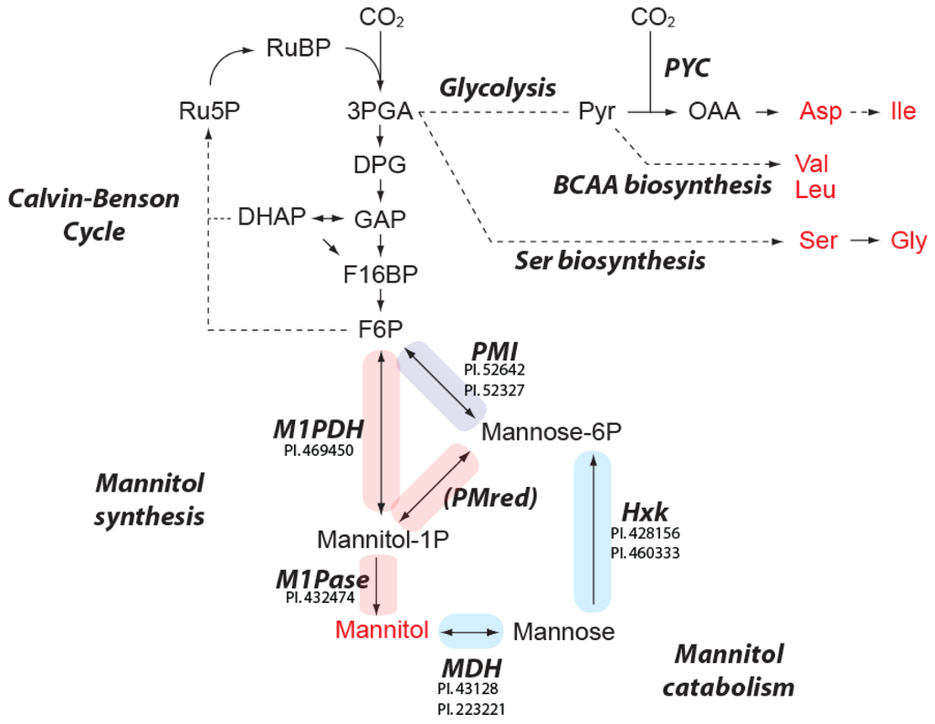 Metabolites 03 00168 g003 1024