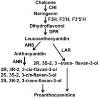 Metabolites 03 00185 g001 200