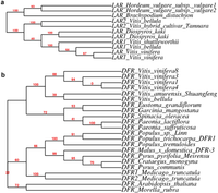 Metabolites 03 00185 g005 200