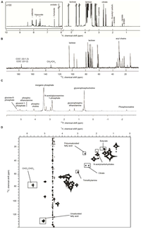 Metabolites 03 00204 g001 200