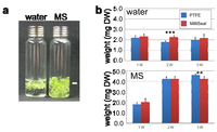 Metabolites 03 00223 g002 200