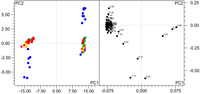 Metabolites 03 00243 g003 200