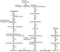 Metabolites 03 00294 g005 200