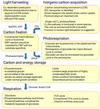 Metabolites 03 00325 g001 200