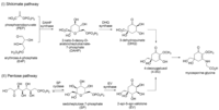 Metabolites 03 00463 g001 200