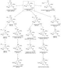 Metabolites 03 00463 g002 200