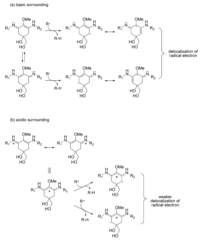 Metabolites 03 00463 g004 200