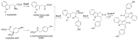 Metabolites 03 00463 g007 200