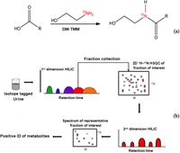 Metabolites 03 00575 g001 200