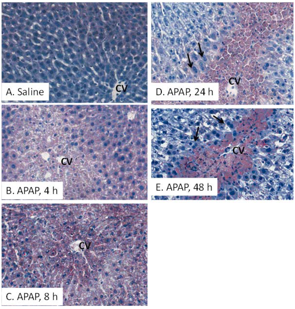 Metabolites 03 00606 g004 1024