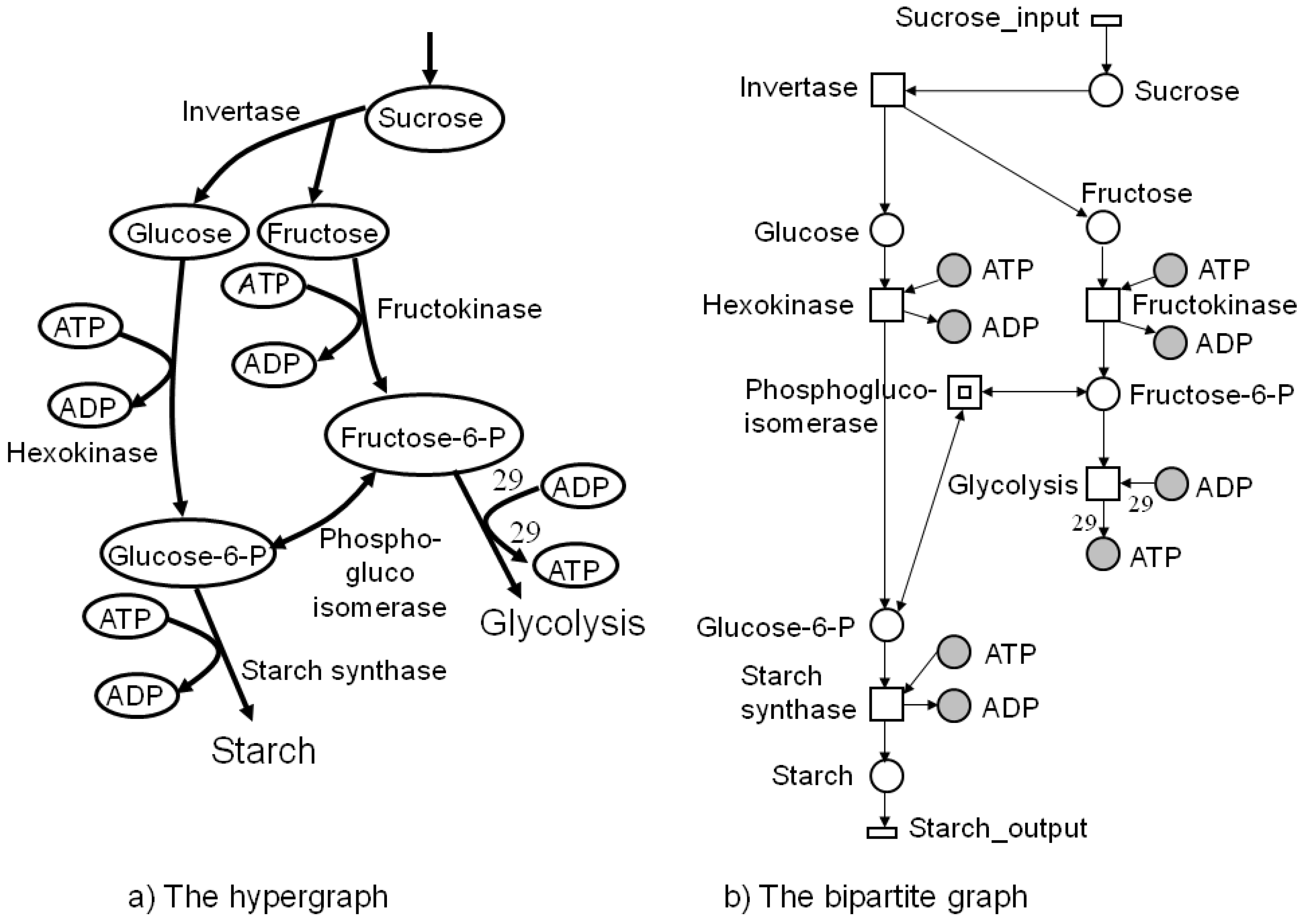 Metabolites 03 00673 g001