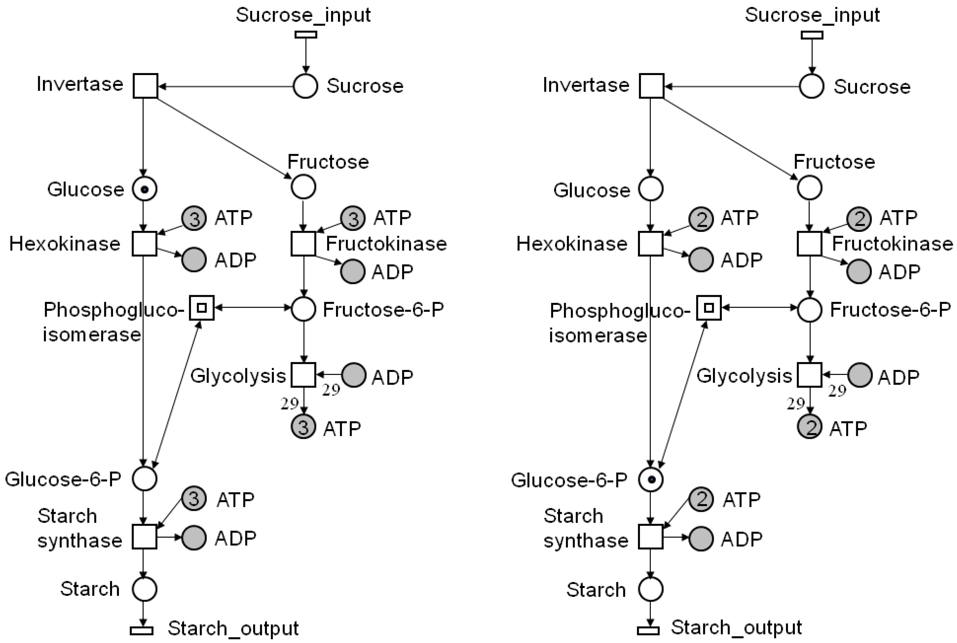 Metabolites 03 00673 g003