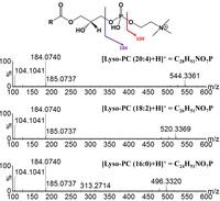 Metabolites 03 00701 g004 200