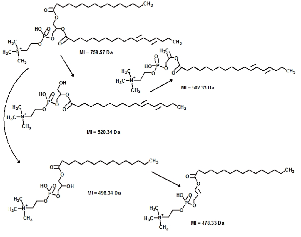 Metabolites 03 00787 g003 1024