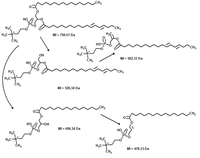 Metabolites 03 00787 g003 200