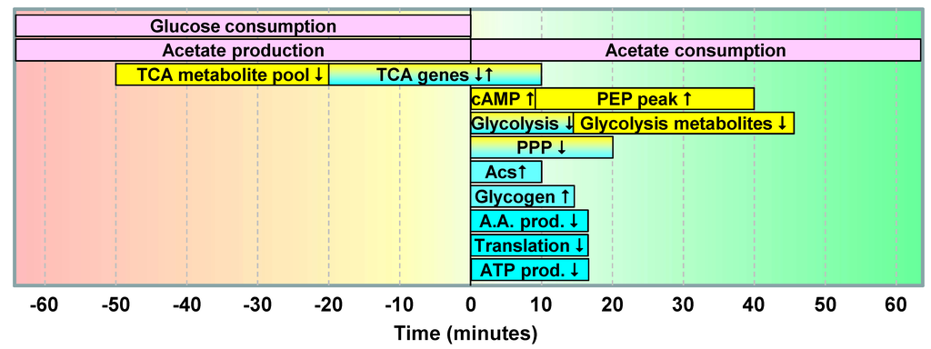 Metabolites 03 00820 g006 1024