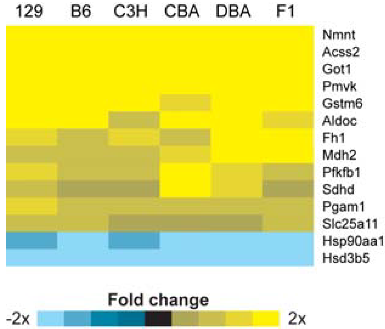 Metabolites 03 00881 g002