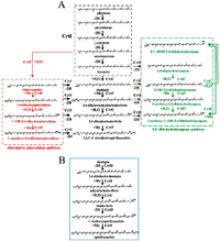 Metabolites 03 00912 g002 200