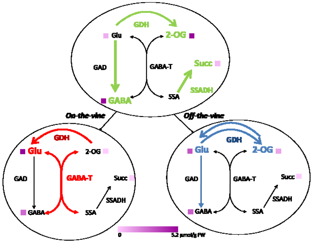 Metabolites 03 00967 g003 1024