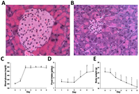 Metabolites 03 00993 g005 200