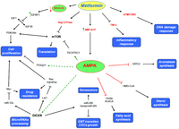 Metabolites 03 01051 g002 200