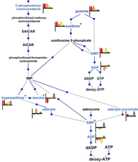 Metabolites 03 01102 g004 200