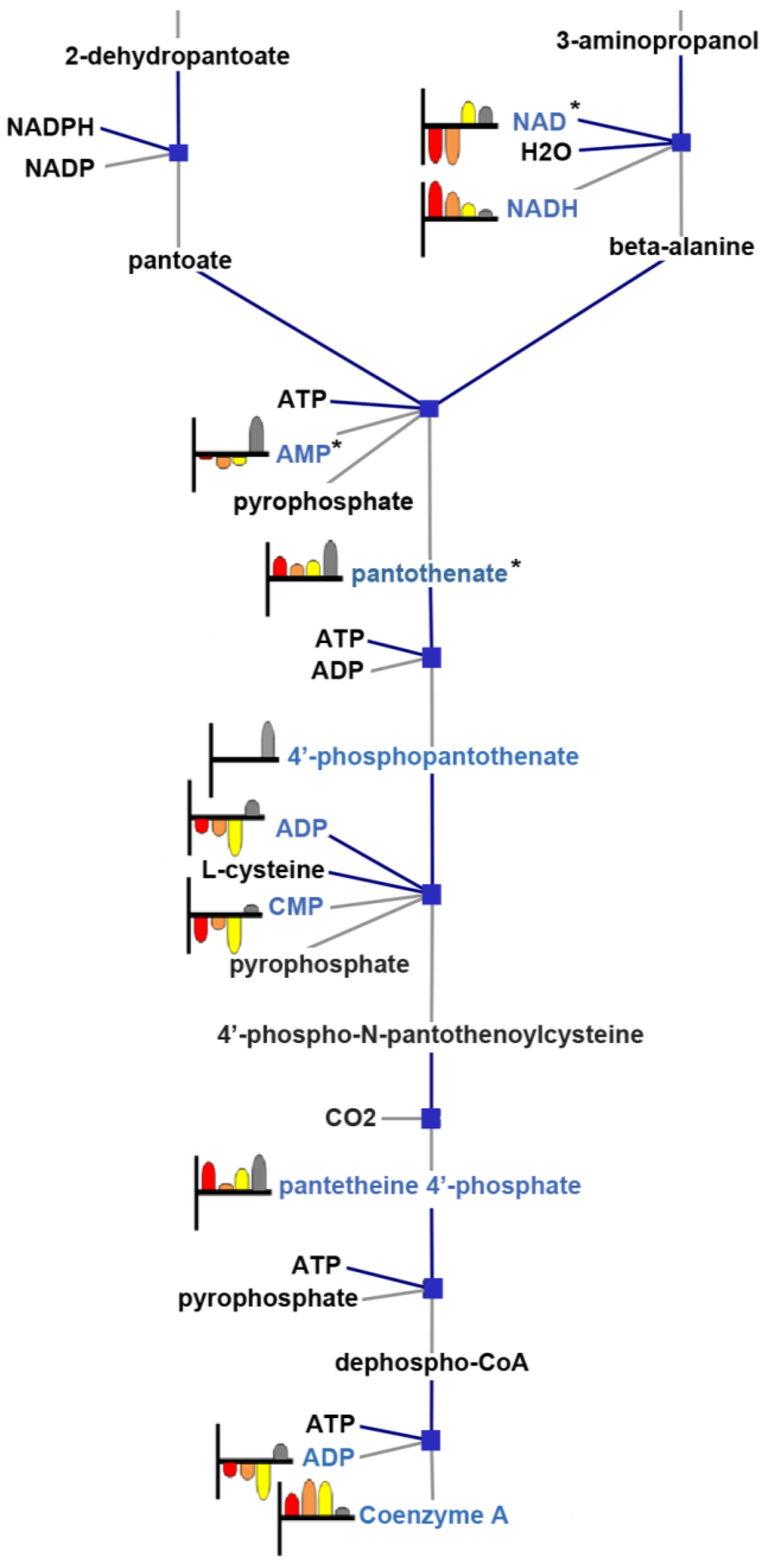 Metabolites 03 01102 g005 1024