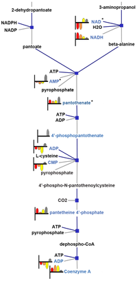 Metabolites 03 01102 g005 200