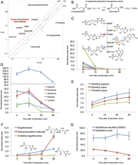 Metabolites 03 01118 g003 200