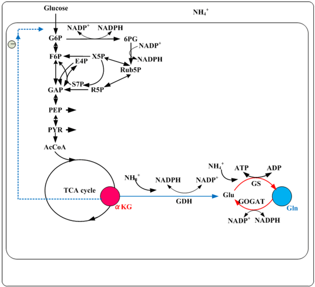 Metabolites 04 00001 g005 1024