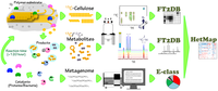 Metabolites 04 00036 g001 200