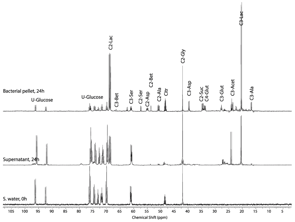 Metabolites 04 00053 g007 1024