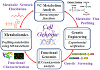 Metabolites 04 00142 g004 200