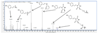 Metabolites 04 00421 g003 200