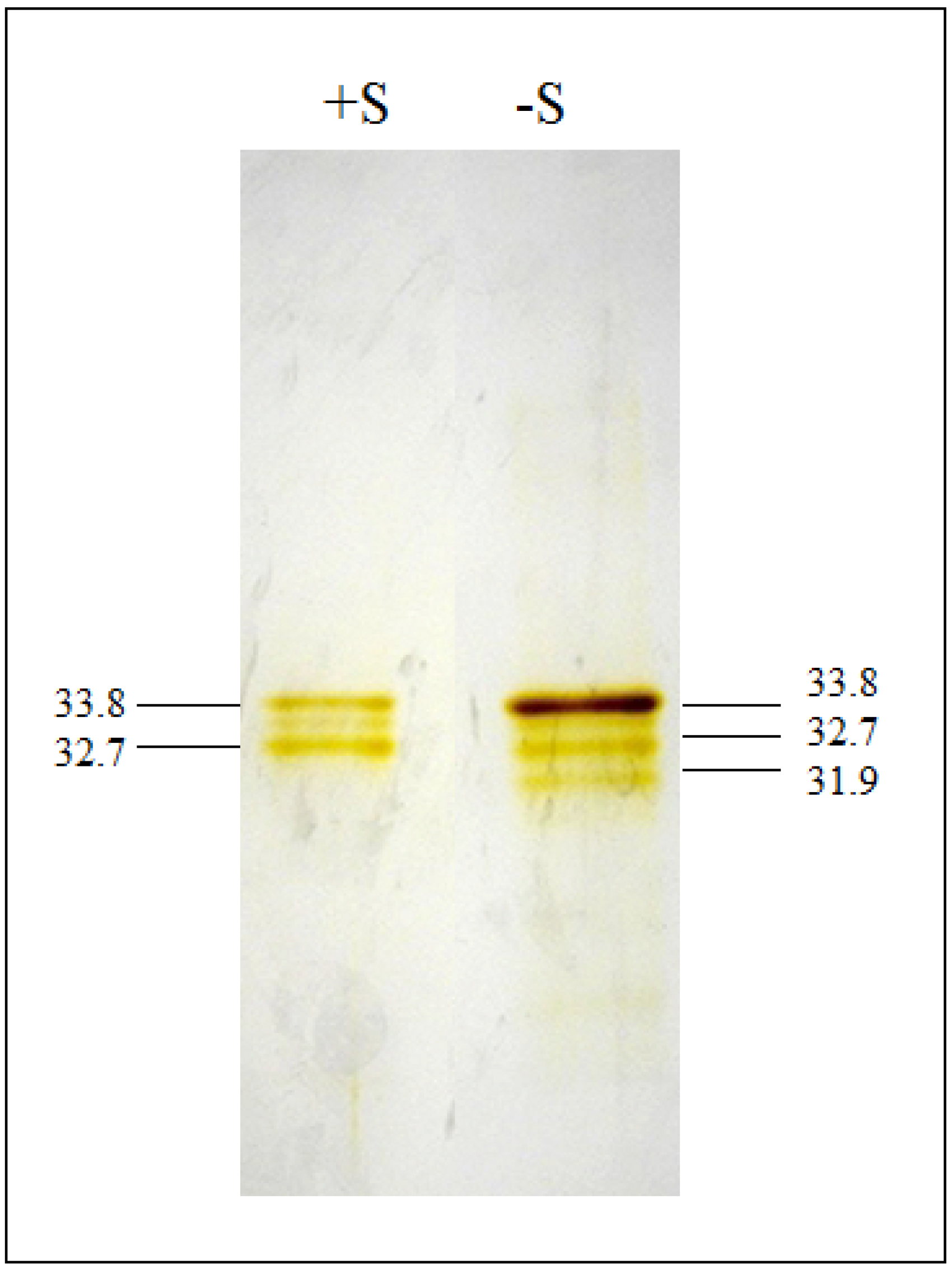 Metabolites 04 00629 g001