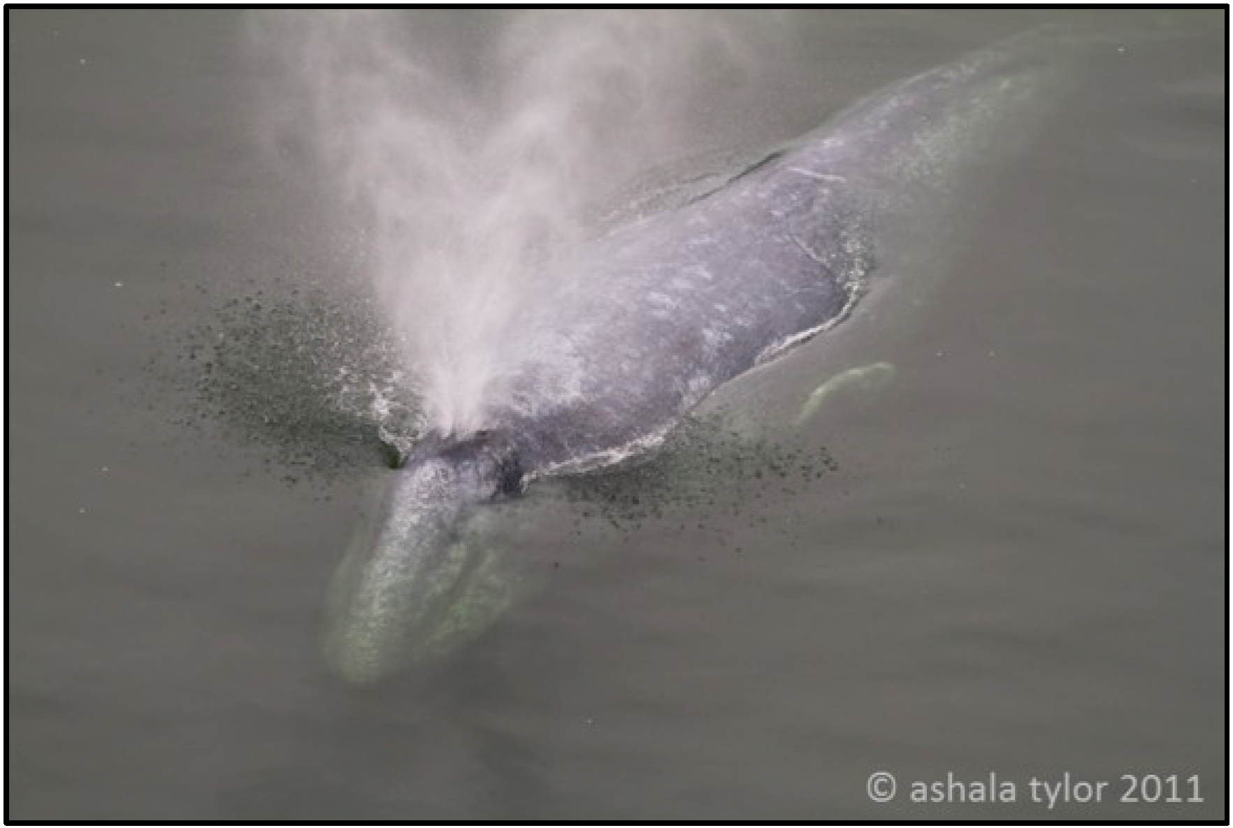 Metabolites 04 00790 g001