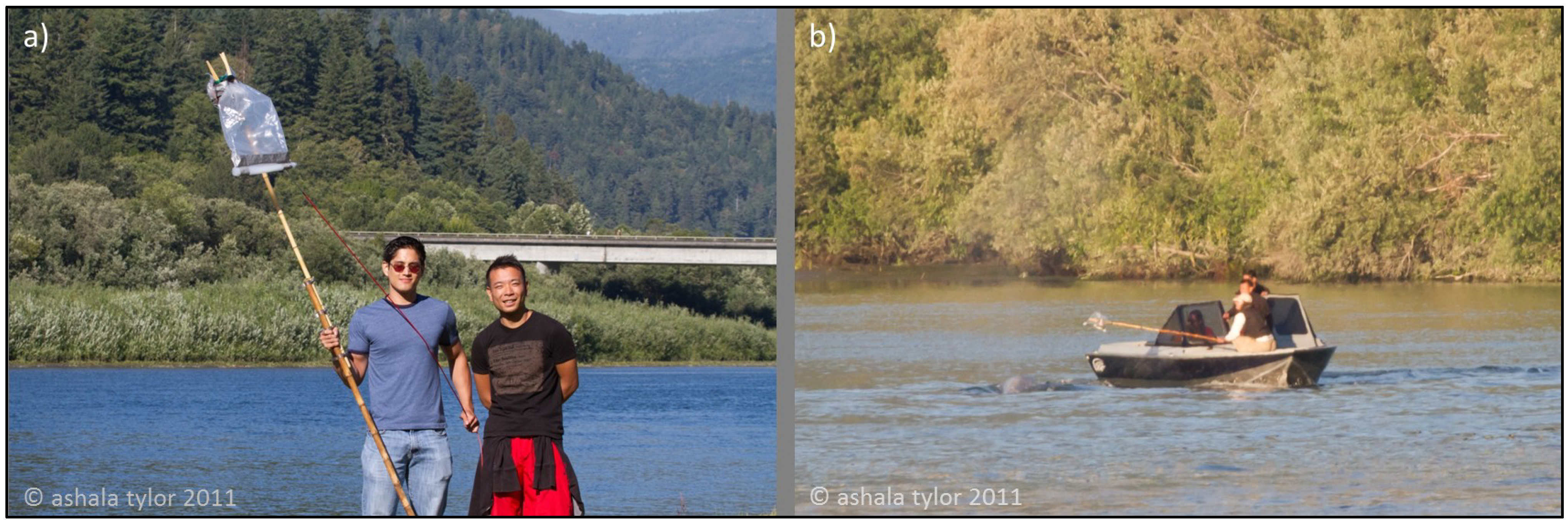 Metabolites 04 00790 g003