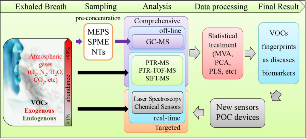 Metabolites 05 00003 g001 1024