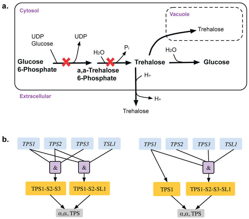 Metabolites 05 00536 g003 1024