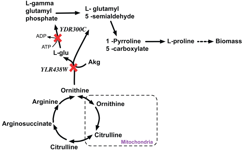 Metabolites 05 00536 g008 1024