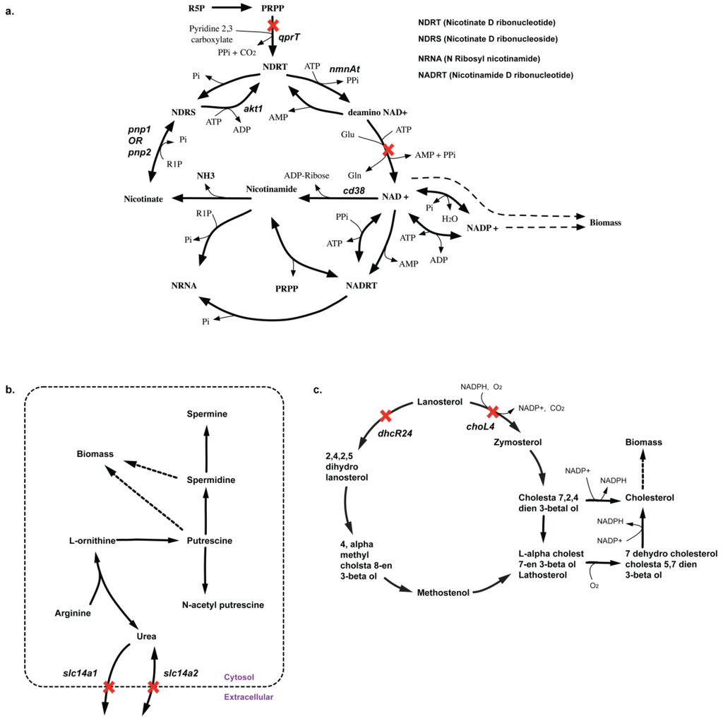 Metabolites 05 00536 g012 1024