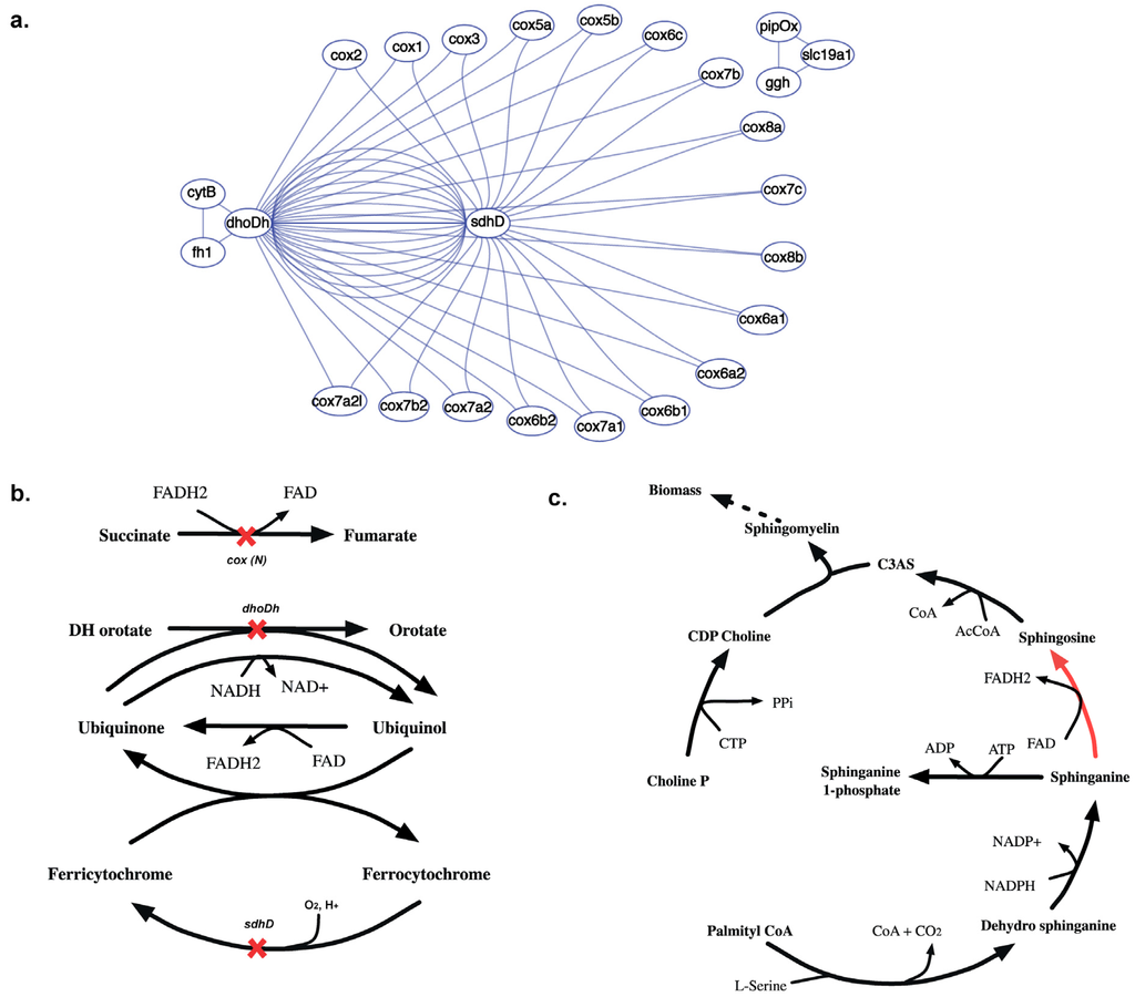 Metabolites 05 00536 g015 1024