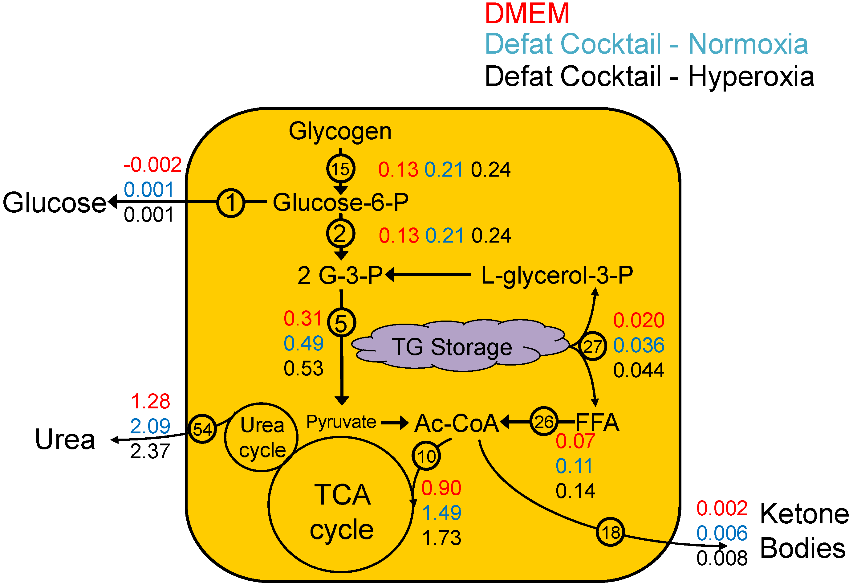 Metabolites 06 00001 g004