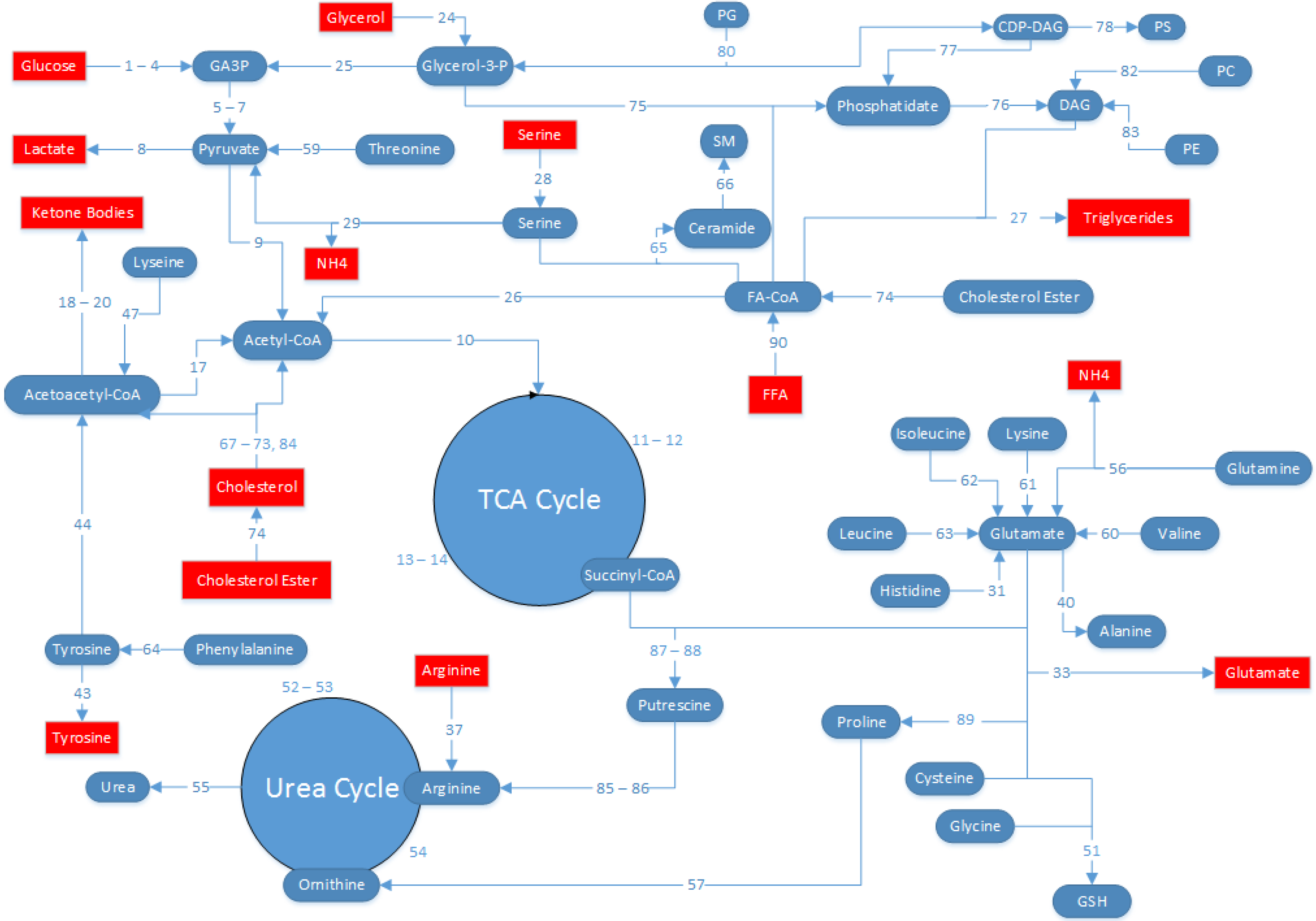 Metabolites 06 00001 g006